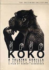 KOKO, A TALKING GORILLA