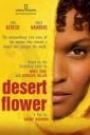 DESERT FLOWER