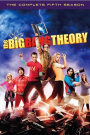 BIG BANG THEORY - SEASON 5 (DISC 1)