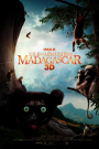 IMAX: ISLAND OF LEMURS MADAGASCAR (3D)