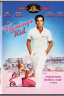 FLAMINGO KID, THE