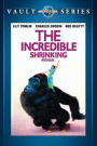 INCREDIBLE SHRINKING WOMAN, THE