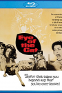 EYE OF THE CAT