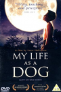 MY LIFE AS A DOG