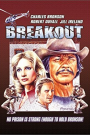 BREAKOUT