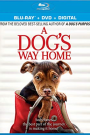 A DOG'S WAY HOME (BLU-RAY)