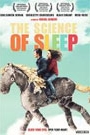 SCIENCE OF SLEEP, THE