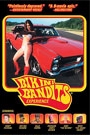 BIKINI BANDIT EXPERIENCE
