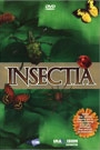 INSECTIA (2)