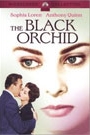 BLACK ORCHID, THE