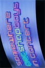 PET SHOP BOYS - SOMEWHERE IN CONCERT