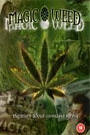 MAGIC WEED