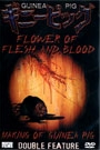 GUINEA PIG - FLOWER OF FLESH AND BLOOD