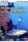 PLONGEE SOUS-MARINE EN POLYNESIE FRANCAISE: FEERIE DE BLEUS