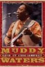 MUDDY WATERS - LIVE AT CHICAGOFEST