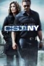 CSI NEW YORK - SEASON 5 (DISC 3)