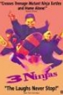 3 NINJAS