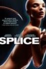 SPLICE