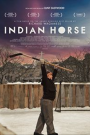 INDIAN HORSE