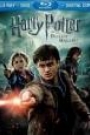 HARRY POTTER AND THE DEATHLY HALLOWS: PART 2 (BLU-RAY)