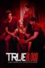 TRUE BLOOD - SEASON 4 (DISC 2)