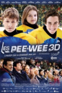 PEE-WEE 3D (BR3D), LES