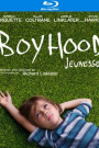 BOYHOOD (BLU-RAY)