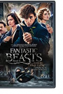 FANTASTIC BEASTS AND WHERE TO FIND THEM