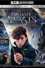 FANTASTIC BEASTS AND WHERE TO FIND THEM (BLU-RAY 4K)