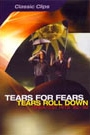 TEARS FOR FEARS - TEARS ROLL DOWN, GREATEST HITS 82-92