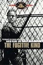 FUGITIVE KIND, THE