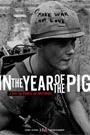 IN THE YEAR OF THE PIG