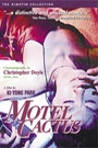 MOTEL CACTUS