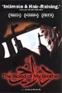 BLOOD OF MY BROTHER: A STORY OF DEATH IN IRAQ, THE