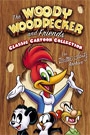 WOODY WOODPECKER AND FRIENDS (DISC 1)