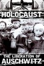 HOLOCAUST - THE LIBERATION OF AUSCHWITZ