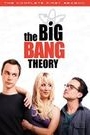 BIG BANG THEORY, THE