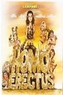 HOMO ERECTUS