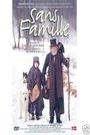 SANS FAMILLE - LA GRANDE AVENTURE DE REMI
