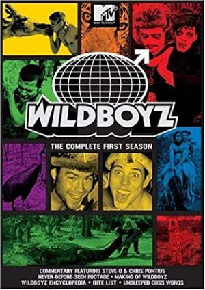 DVD WildBoyz à vendre