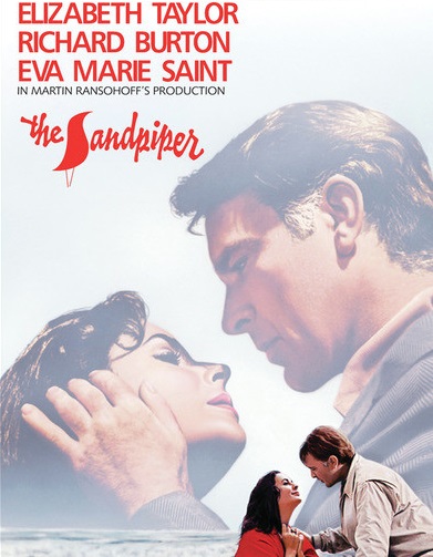 The Sandpiper films dvd à vendre