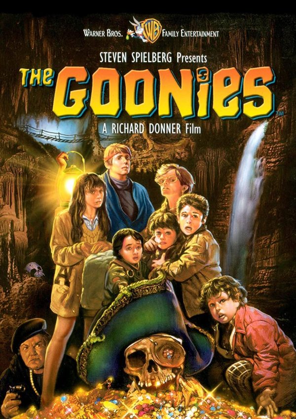 the goonies films dvd à vendre