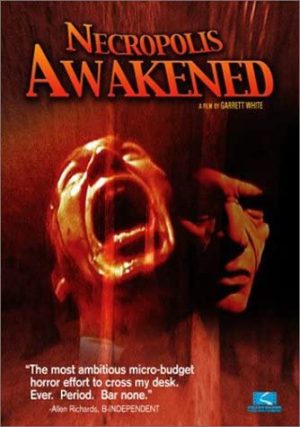 necropolis awakened dvd films à vendre