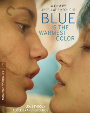 Blue is The Warmest Color DVD à vendre.