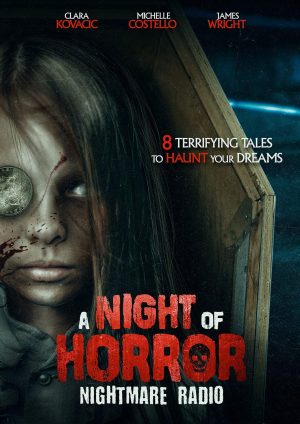 a night of horror dvd films à vendre