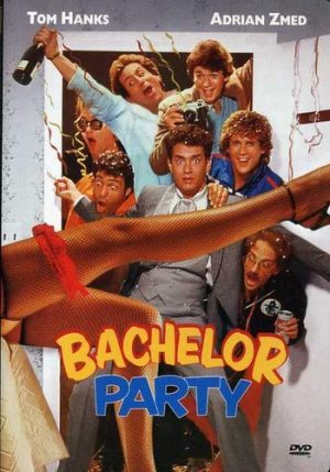 bachelor party dvd films à vendre