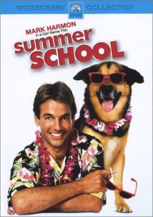 summer school dvd films à vendre