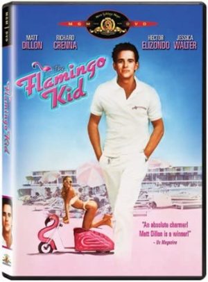 The Flamingo Kid DVD à vendre.