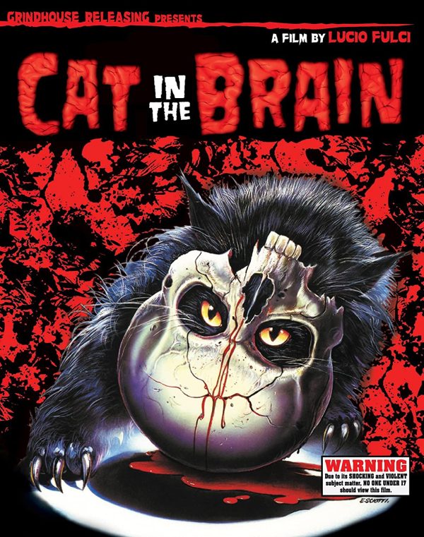 cat in the brain dvd films à vendre