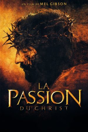 la passion du christ dvd films à vendre